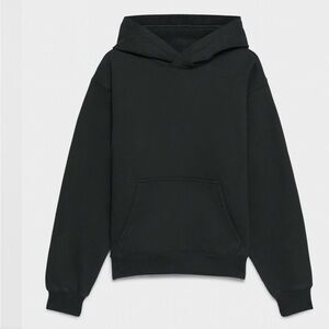 Aritzia Perfect Hoodie